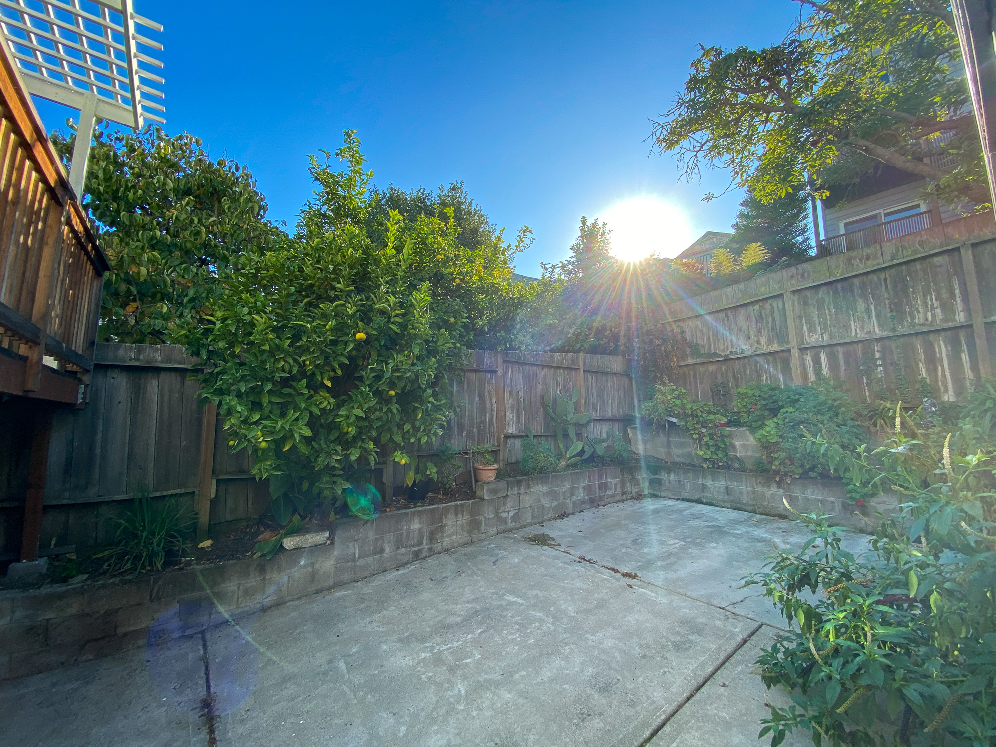 Apartment 3 photo 24